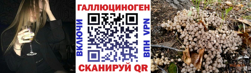 дарнет шоп  Белая Холуница  Галлюциногенные грибы мухоморы 